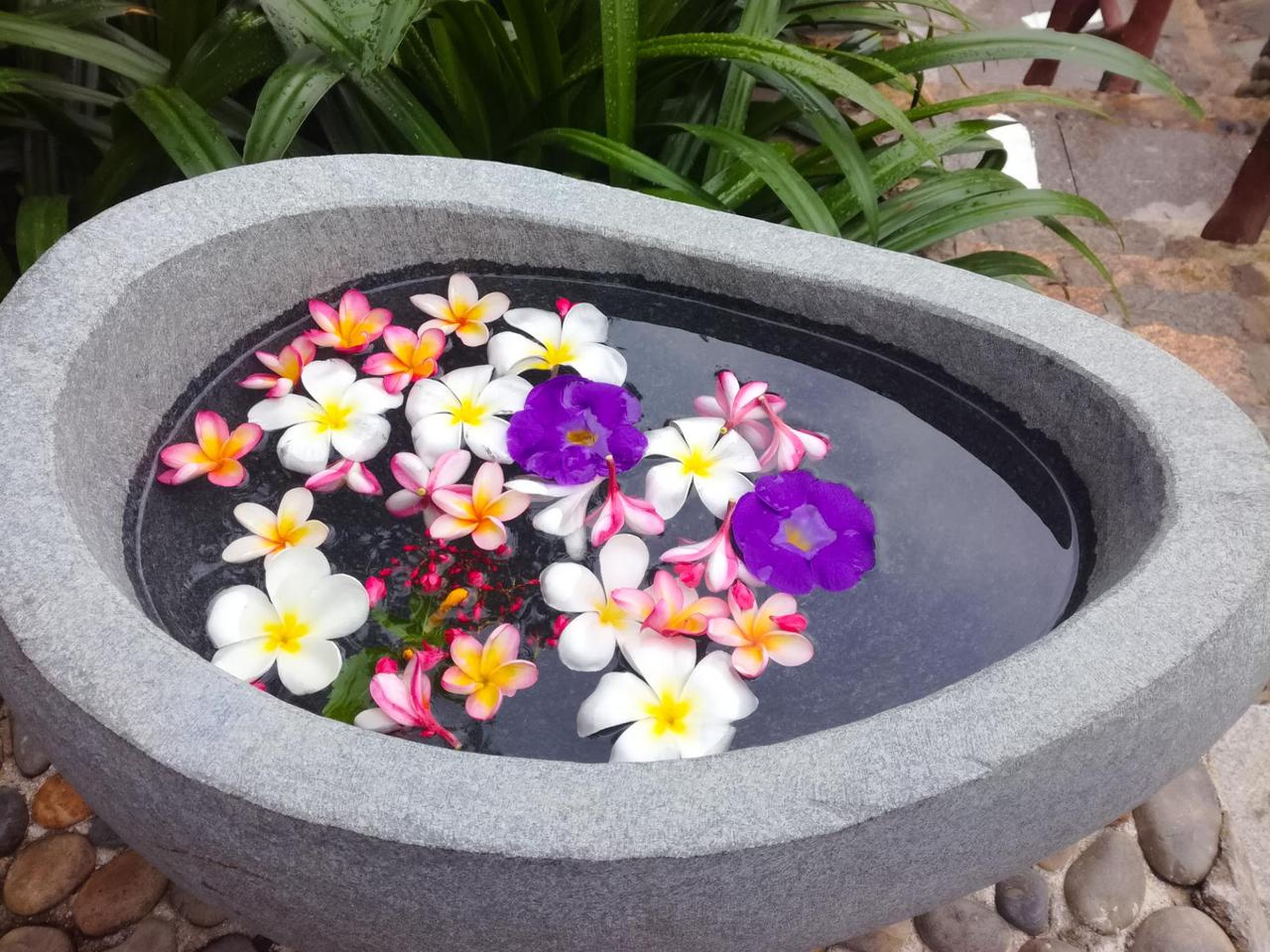 Trăm Trứng: Trải Nghiệm Du Lịch Độc Đáo Tại Nha Trang - Hình 6