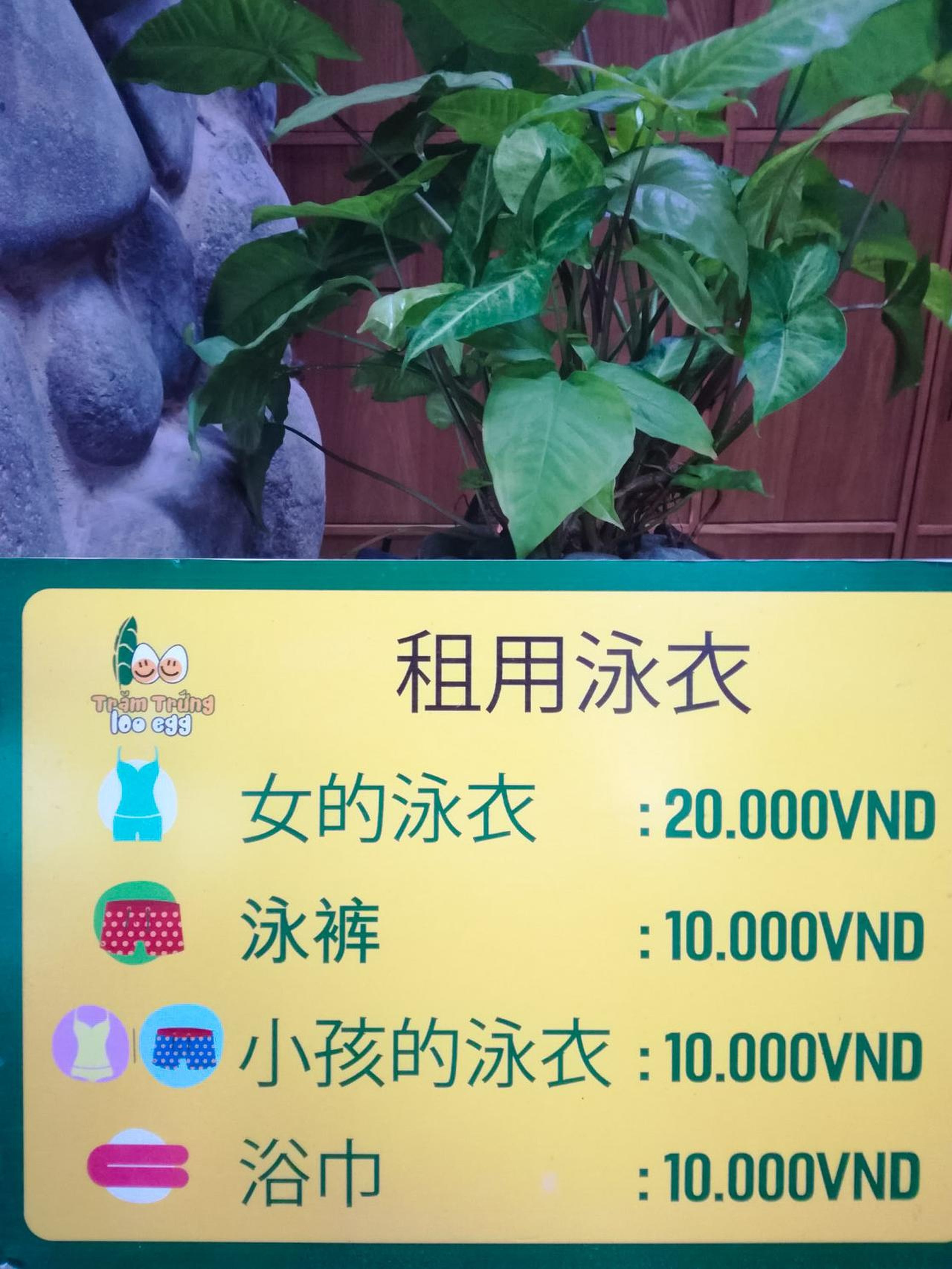 Trăm Trứng: Trải Nghiệm Du Lịch Độc Đáo Tại Nha Trang - Hình 9