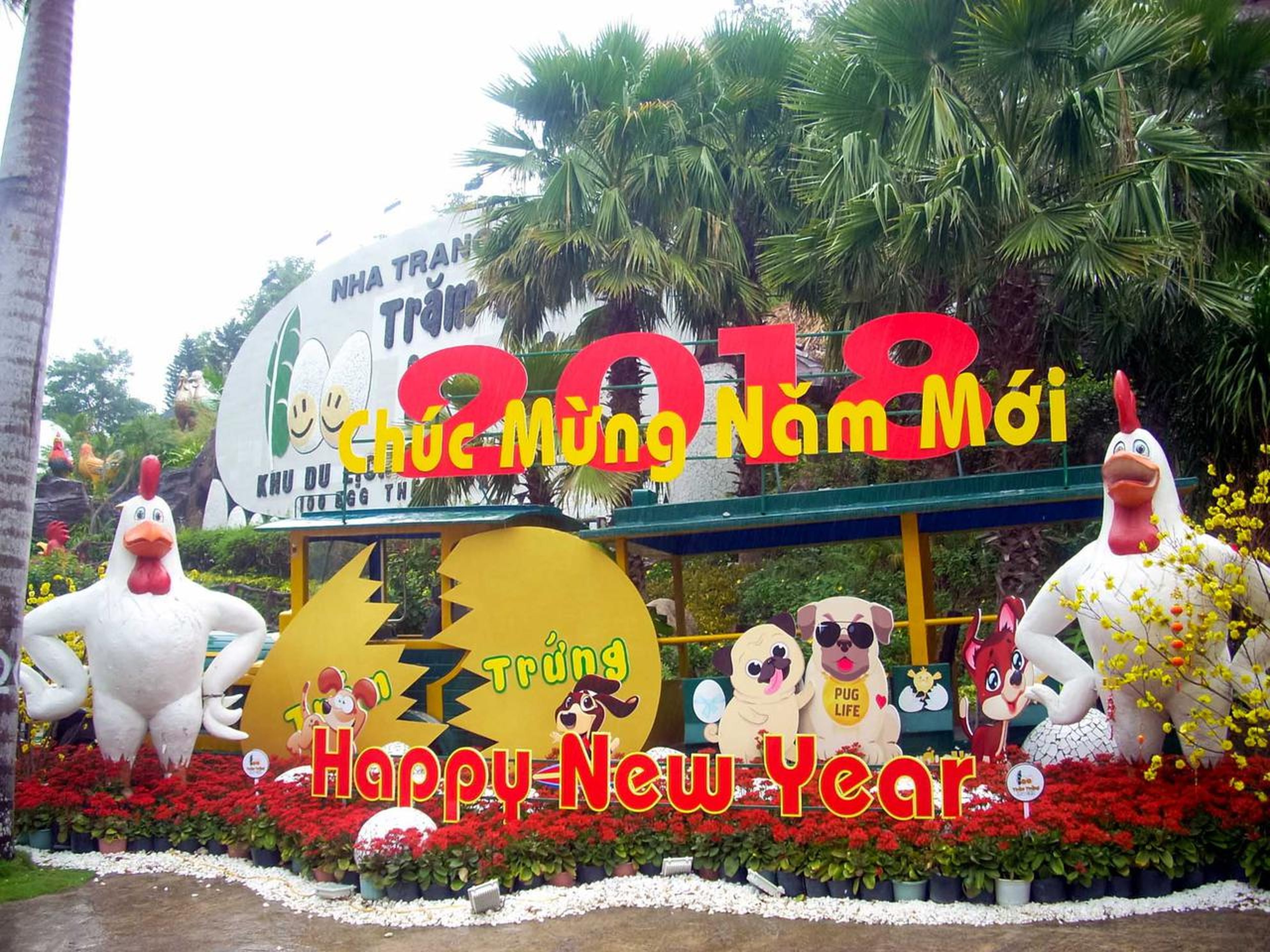 Trăm Trứng: Trải Nghiệm Du Lịch Độc Đáo Tại Nha Trang - Hình 14