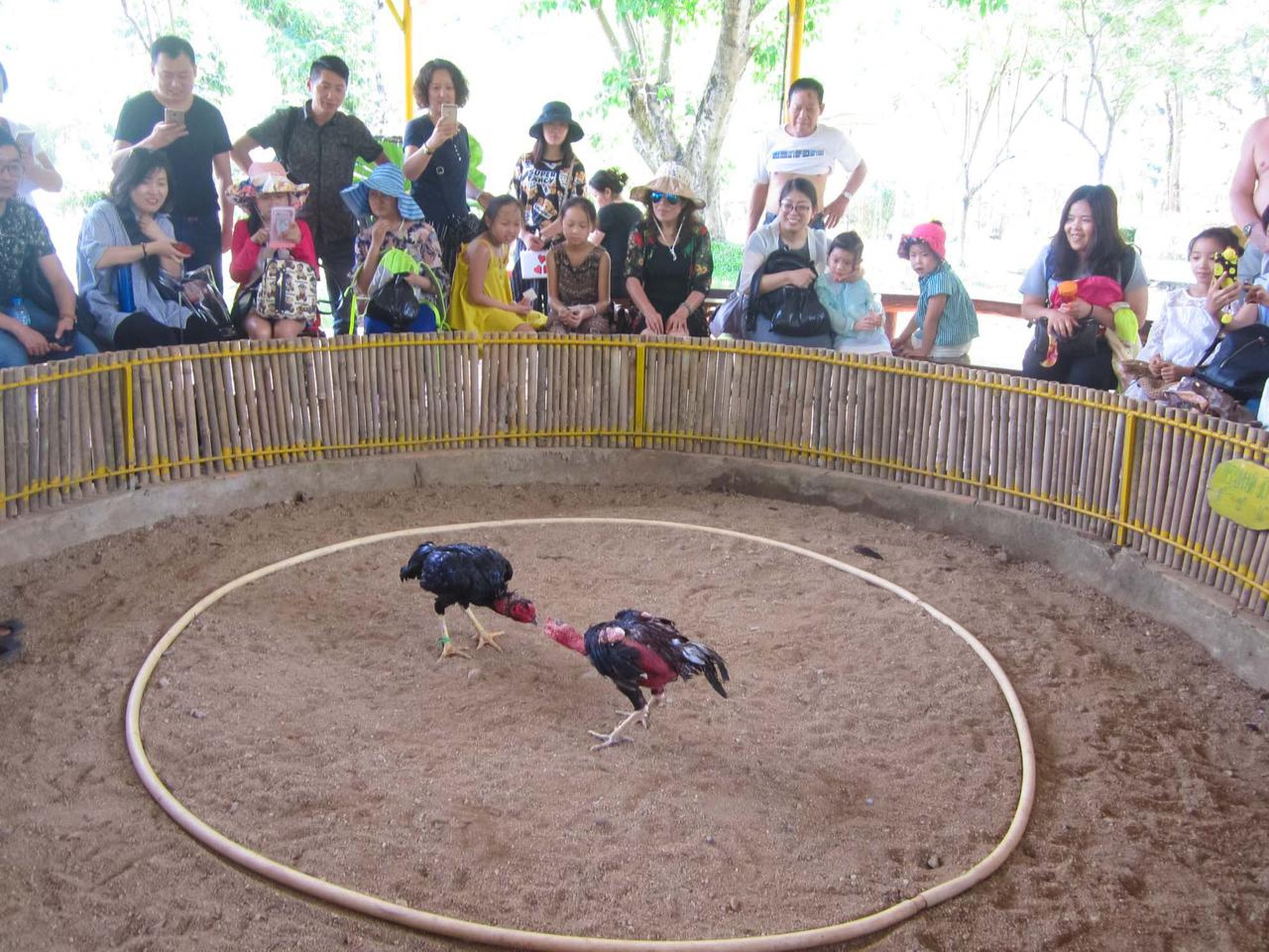 Yang Bay: Khám phá thiên nhiên và vui chơi giải trí - Hình 7