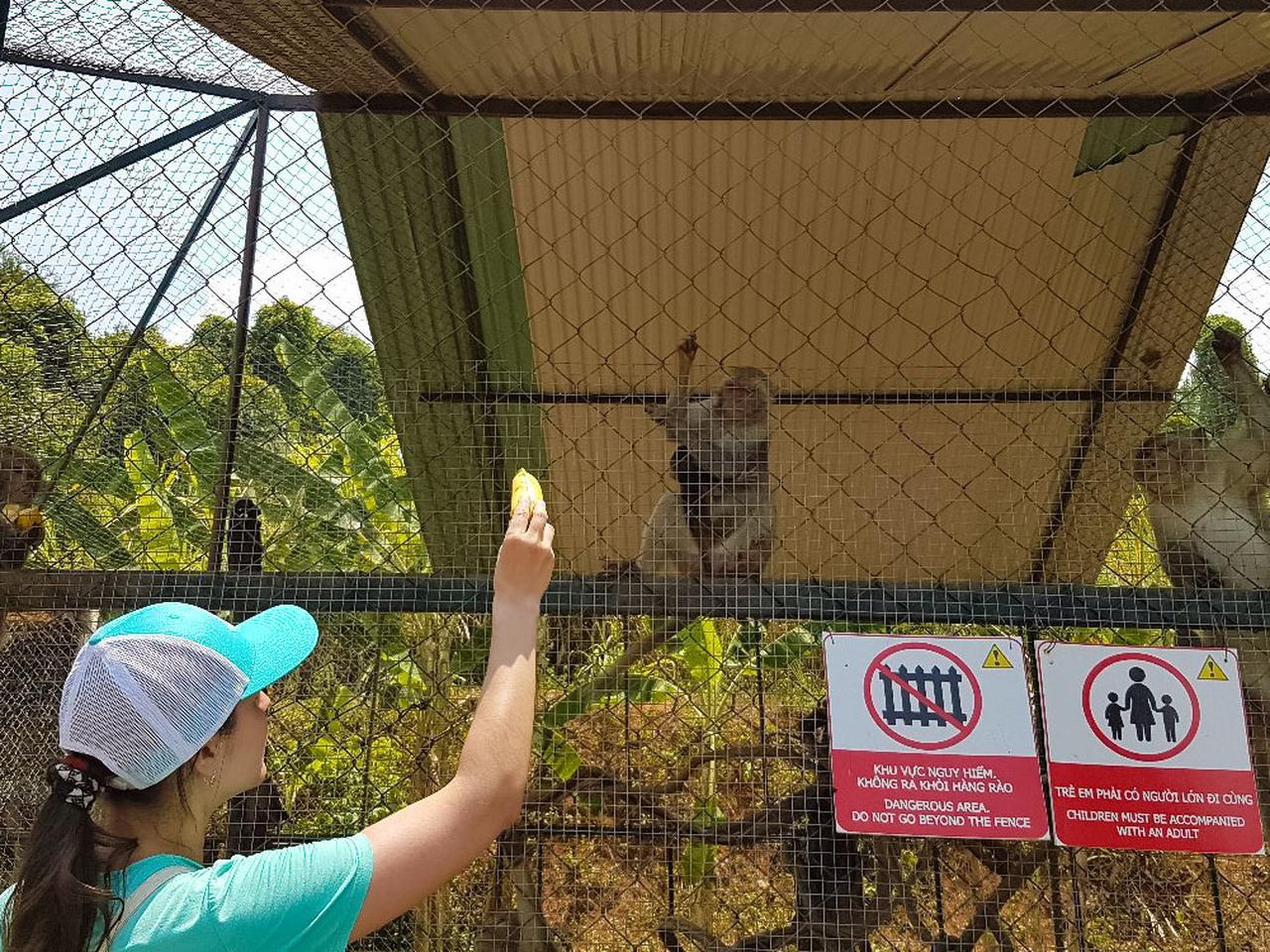 Yang Bay: Khám phá thiên nhiên và vui chơi giải trí - Hình 20