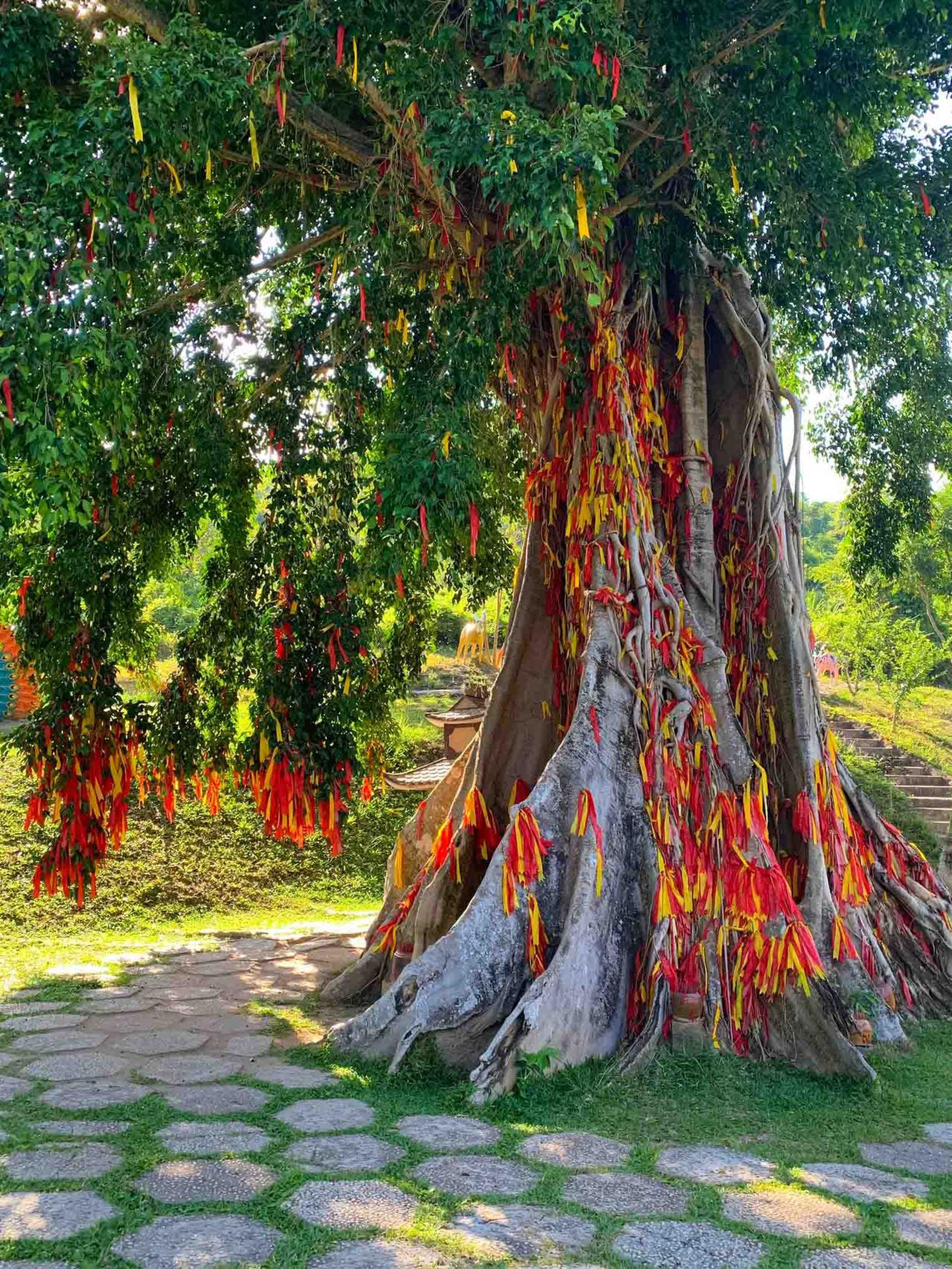 Yang Bay: Khám phá thiên nhiên và vui chơi giải trí - Hình 27