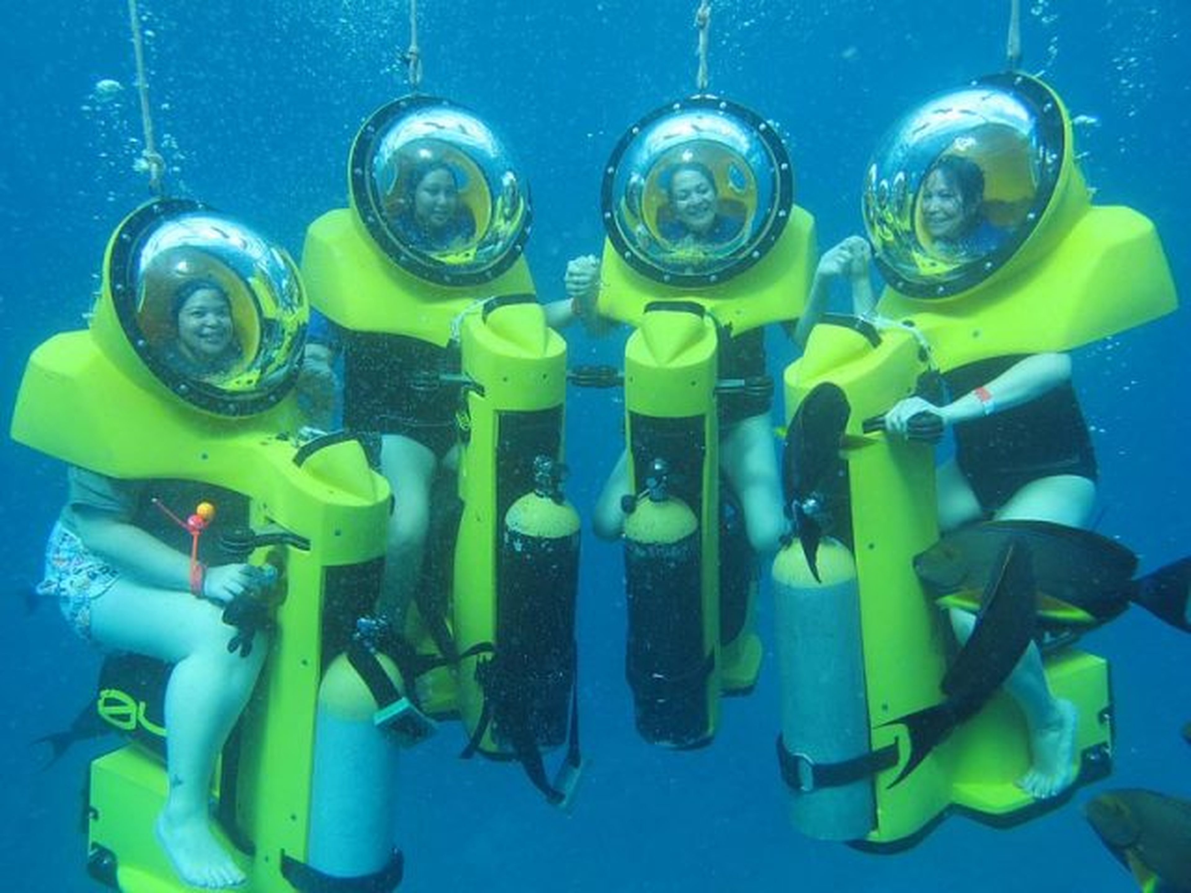 Sealife Nha Trang: Cuộc phiêu lưu trên biển không thể bỏ qua! - Hình 3