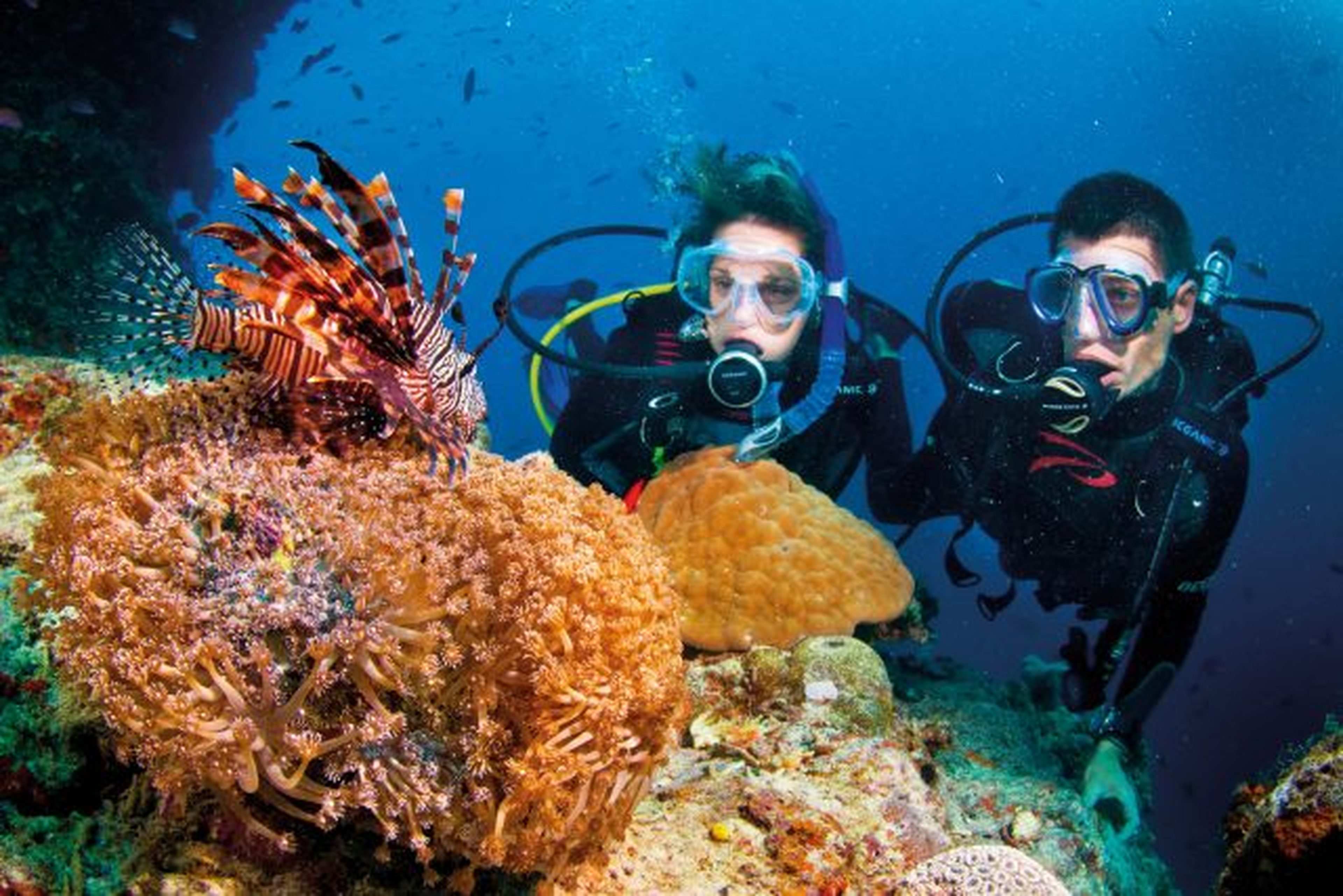 Sealife Nha Trang: Cuộc phiêu lưu trên biển không thể bỏ qua! - Hình 6