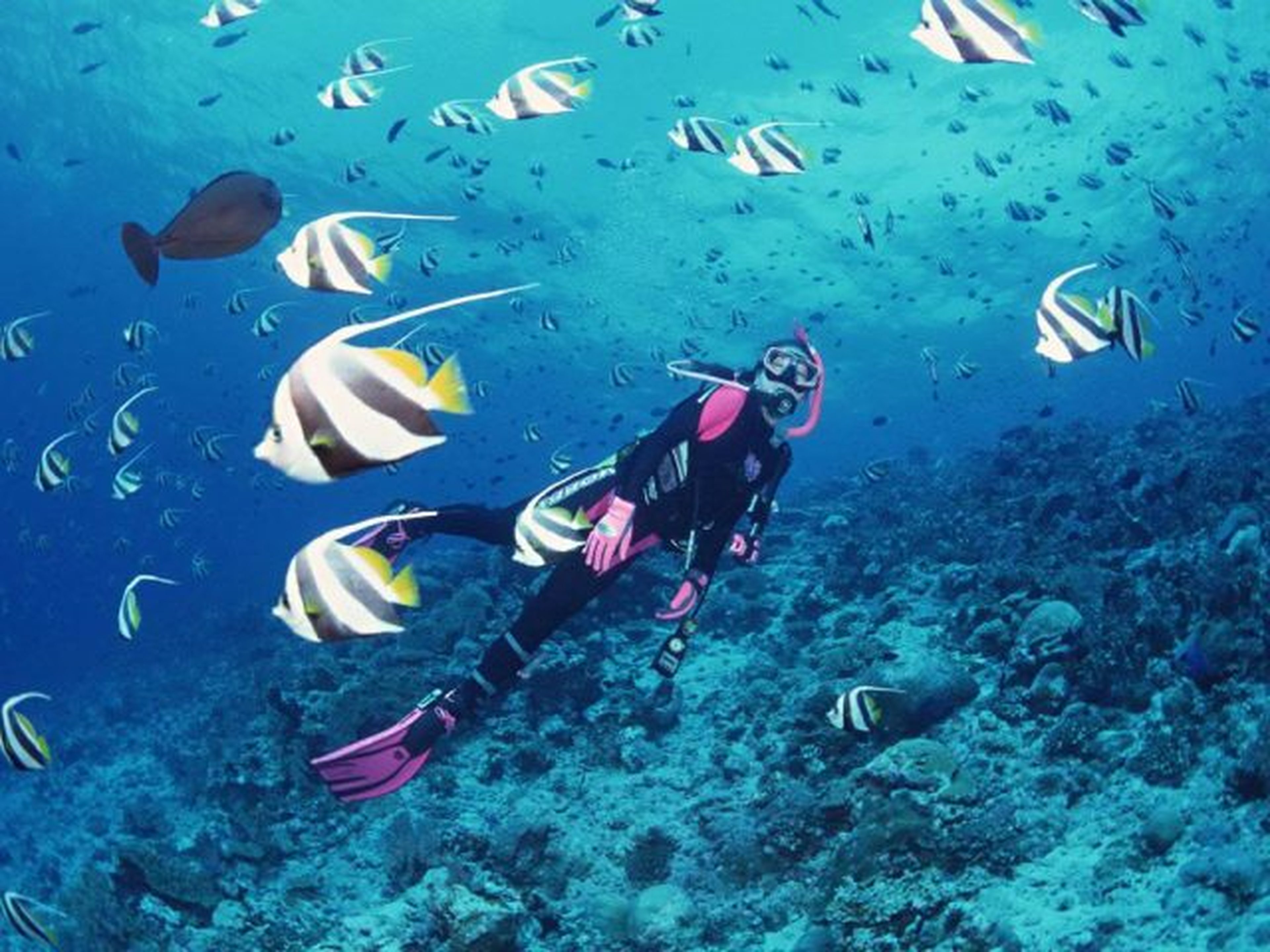 Sealife Nha Trang: Cuộc phiêu lưu trên biển không thể bỏ qua! - Hình 4