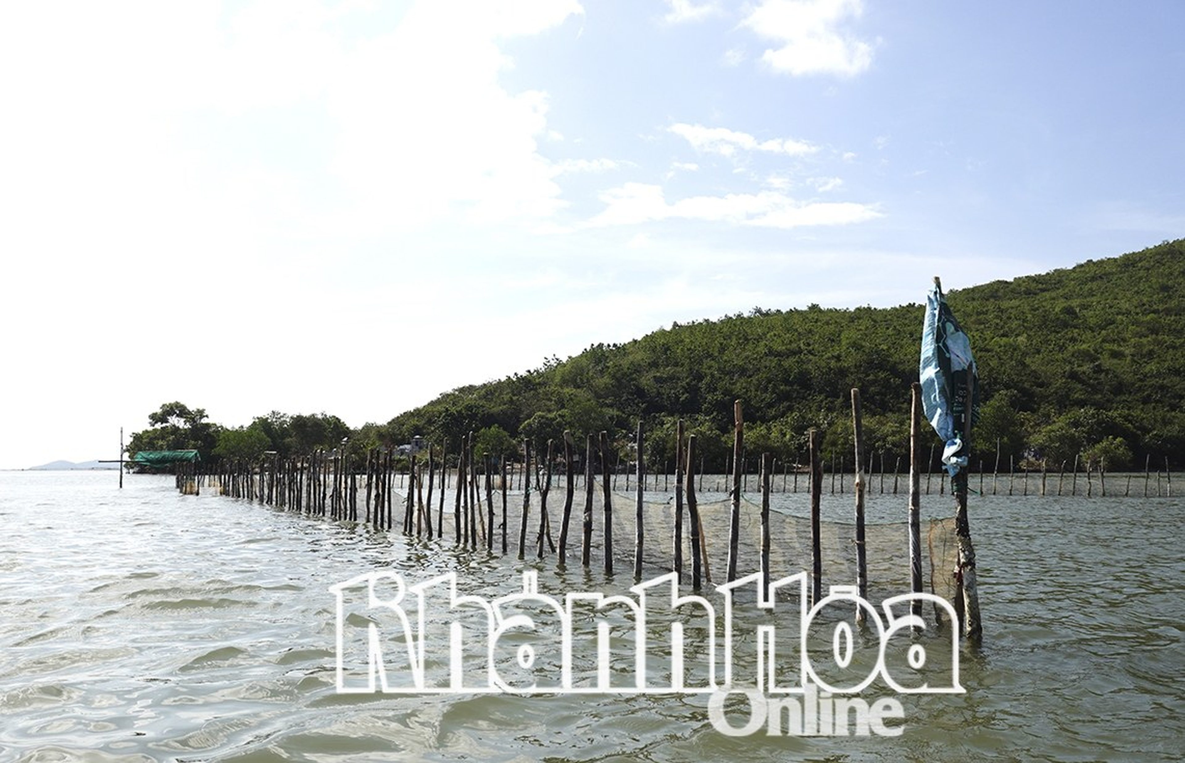 Bình yên trên đầm Nha Phu - Hình 1
