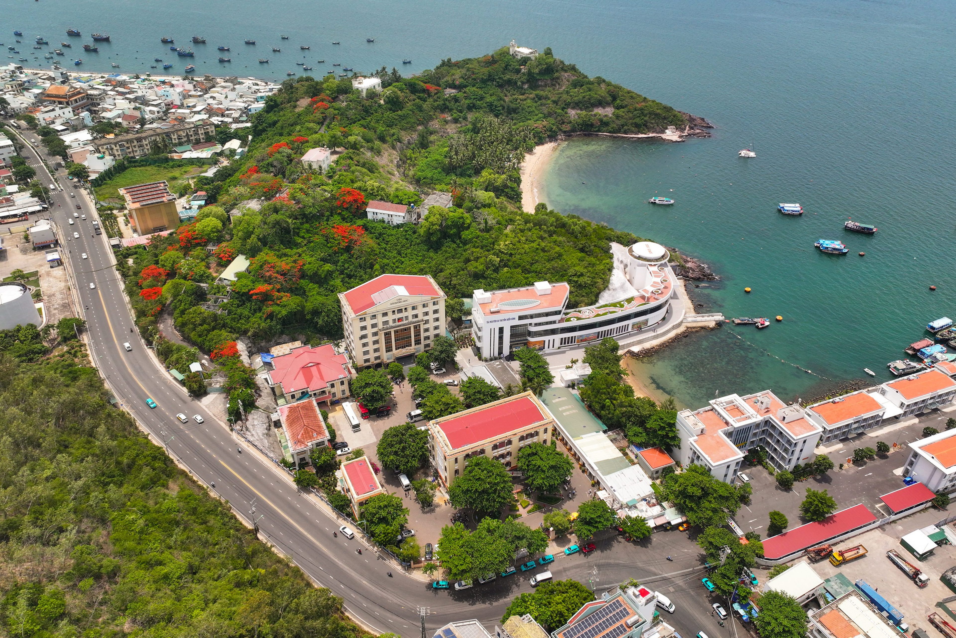 Viện Hải Dương học - Hình 1