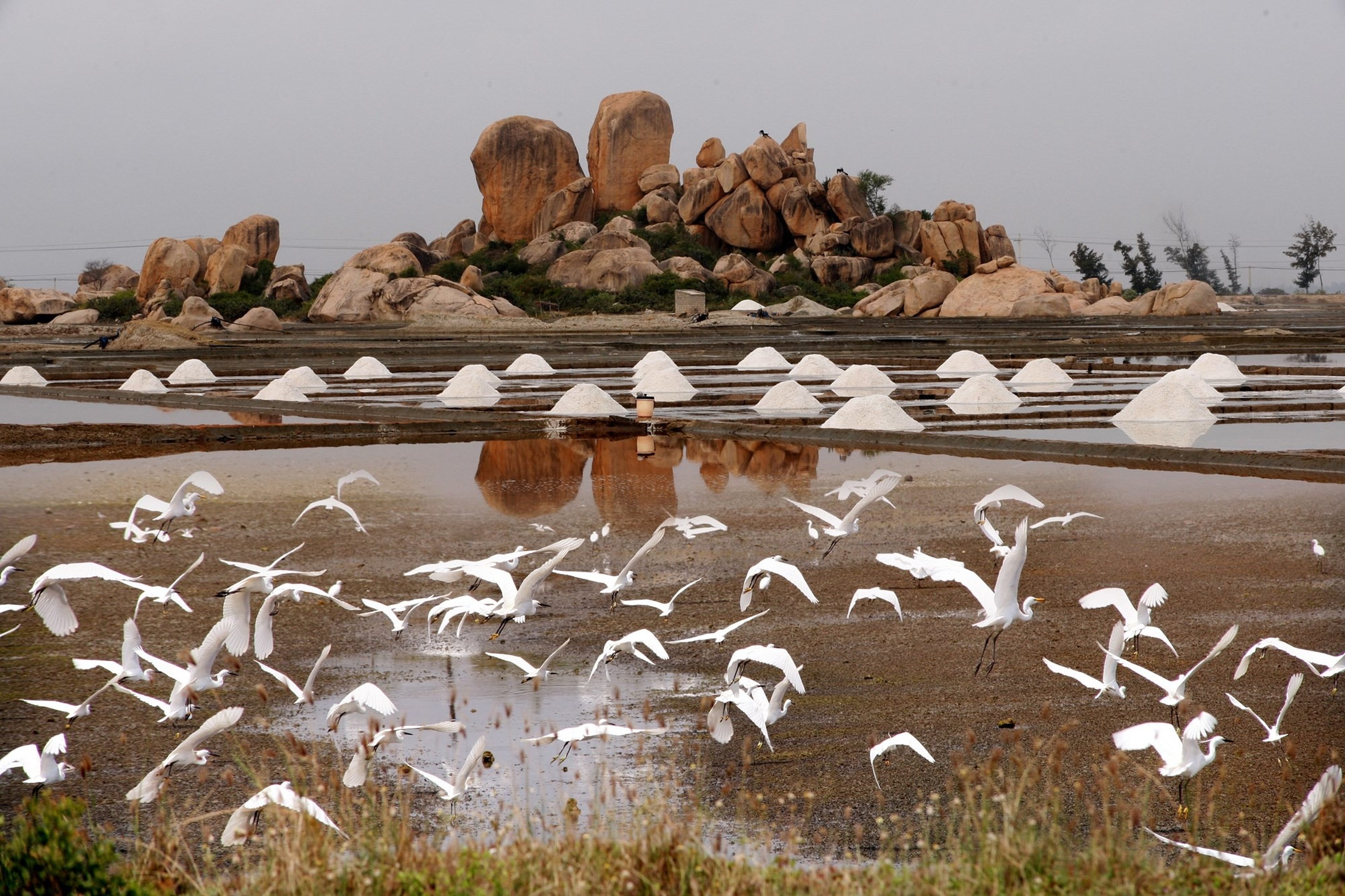 Nui Chua National Park - Hình 1