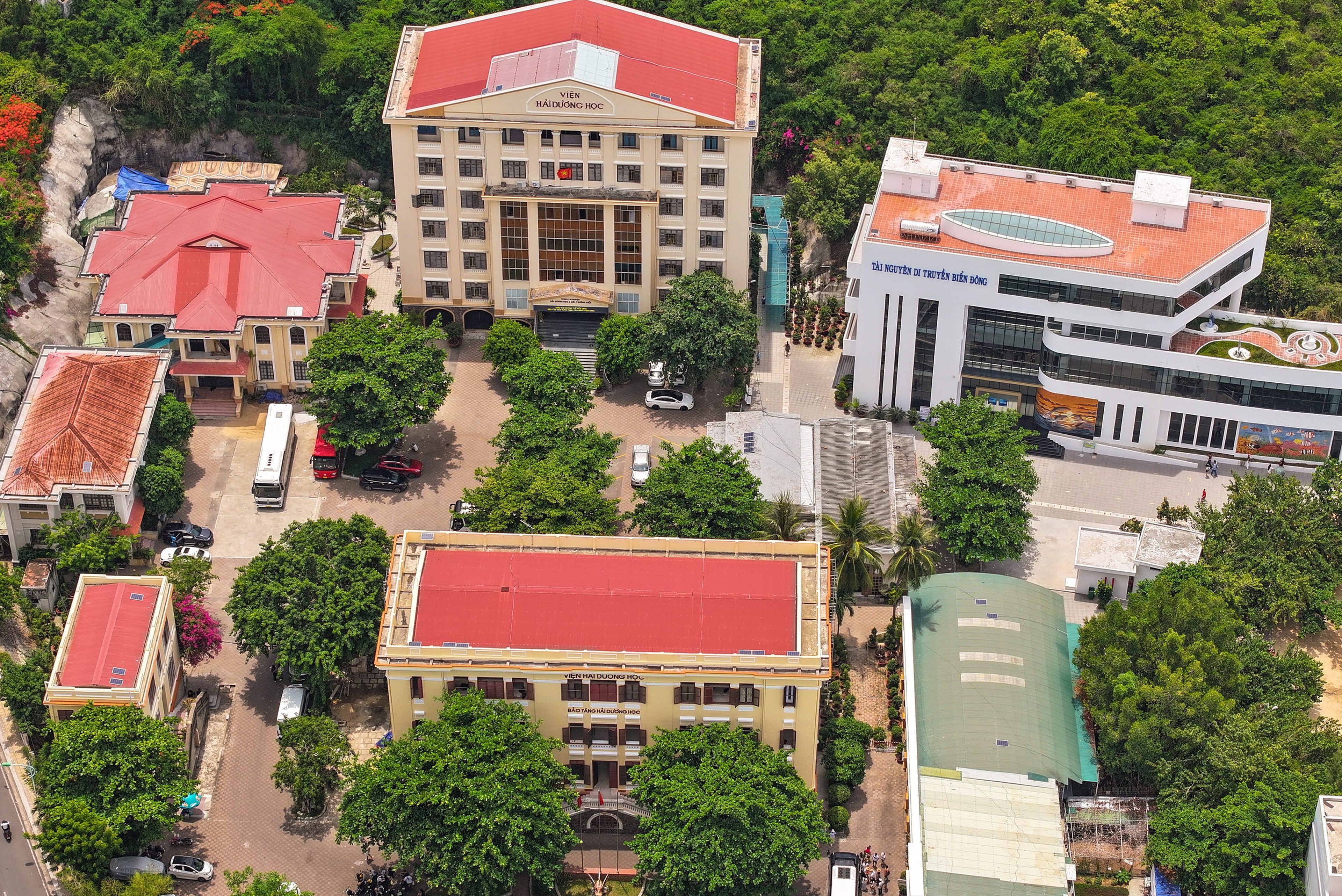 Viện Hải Dương học - Hình 2