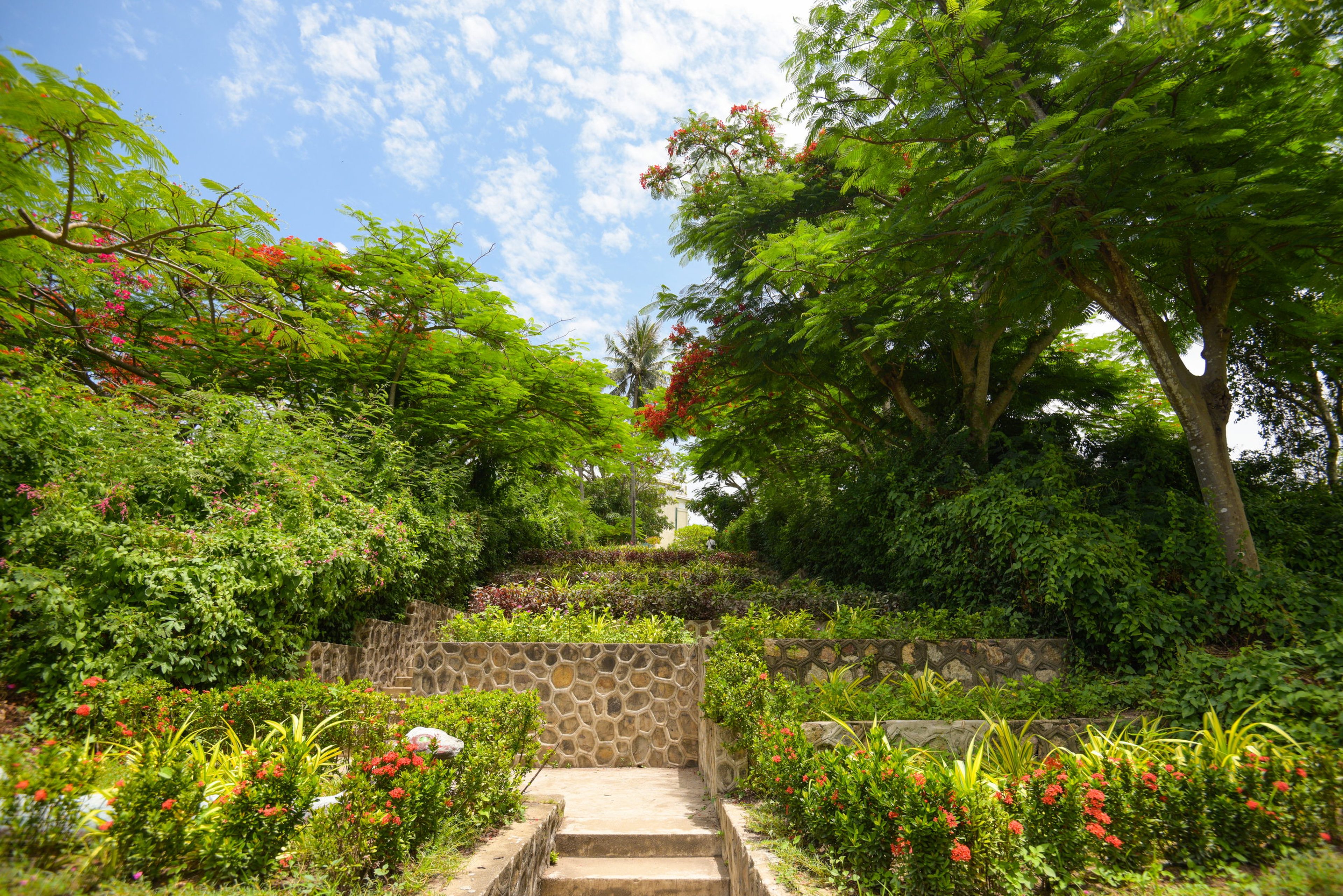 Biệt thự Cầu Đá - Hình 32