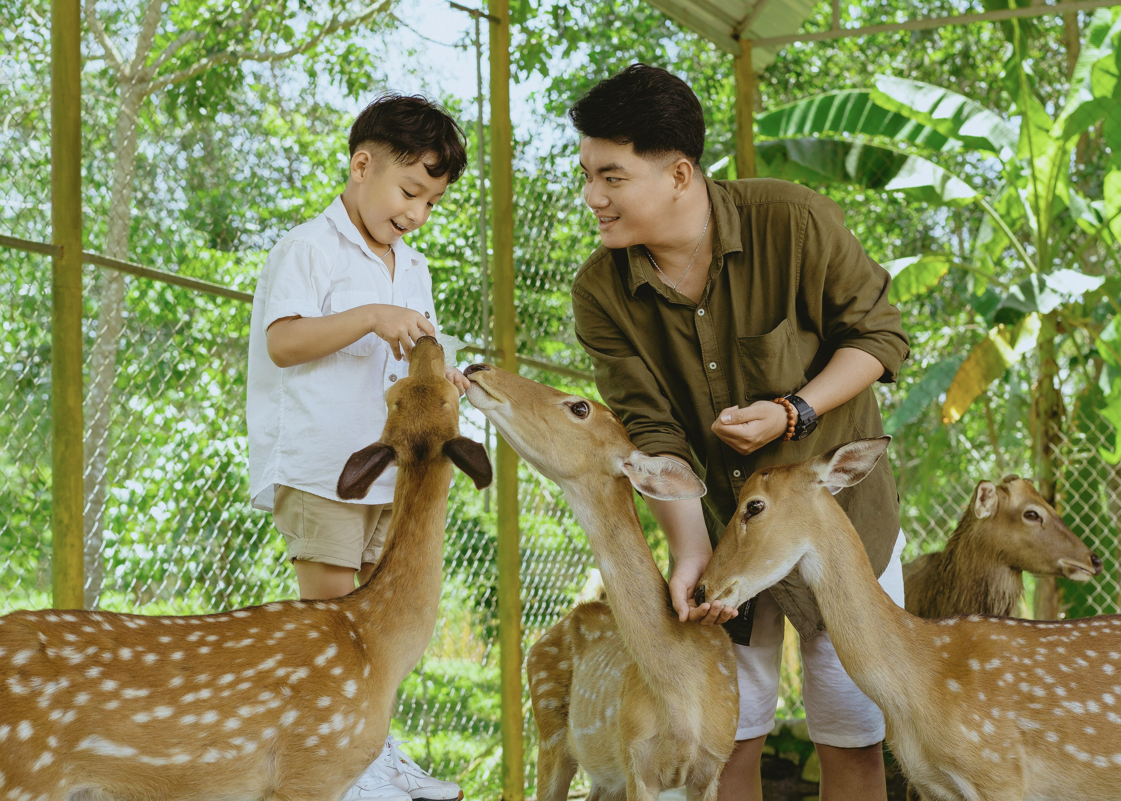 Yang Bay Tourist Park: An Exciting Experience Destination for Students - Hình 3