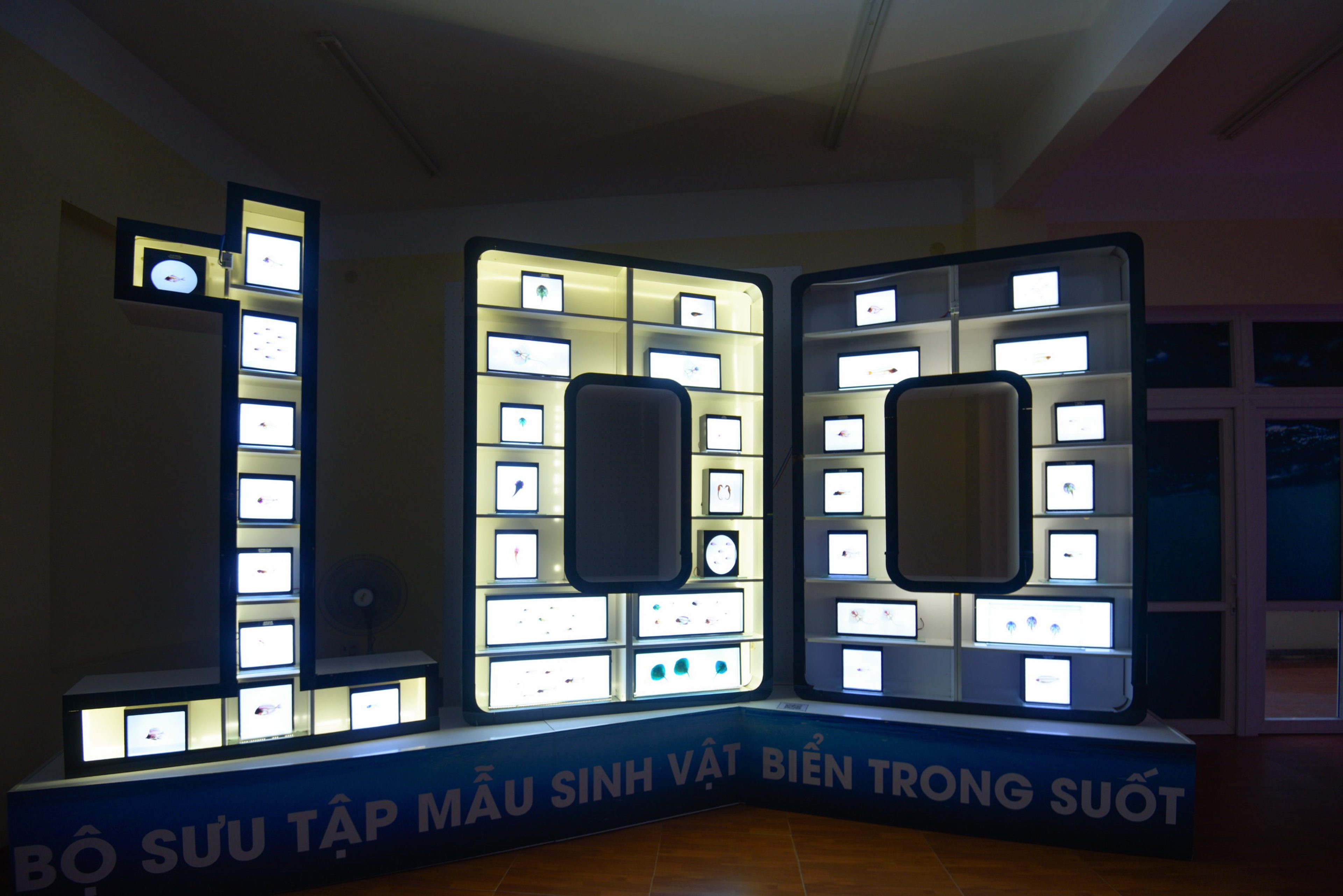 Viện Hải Dương học - Hình 12