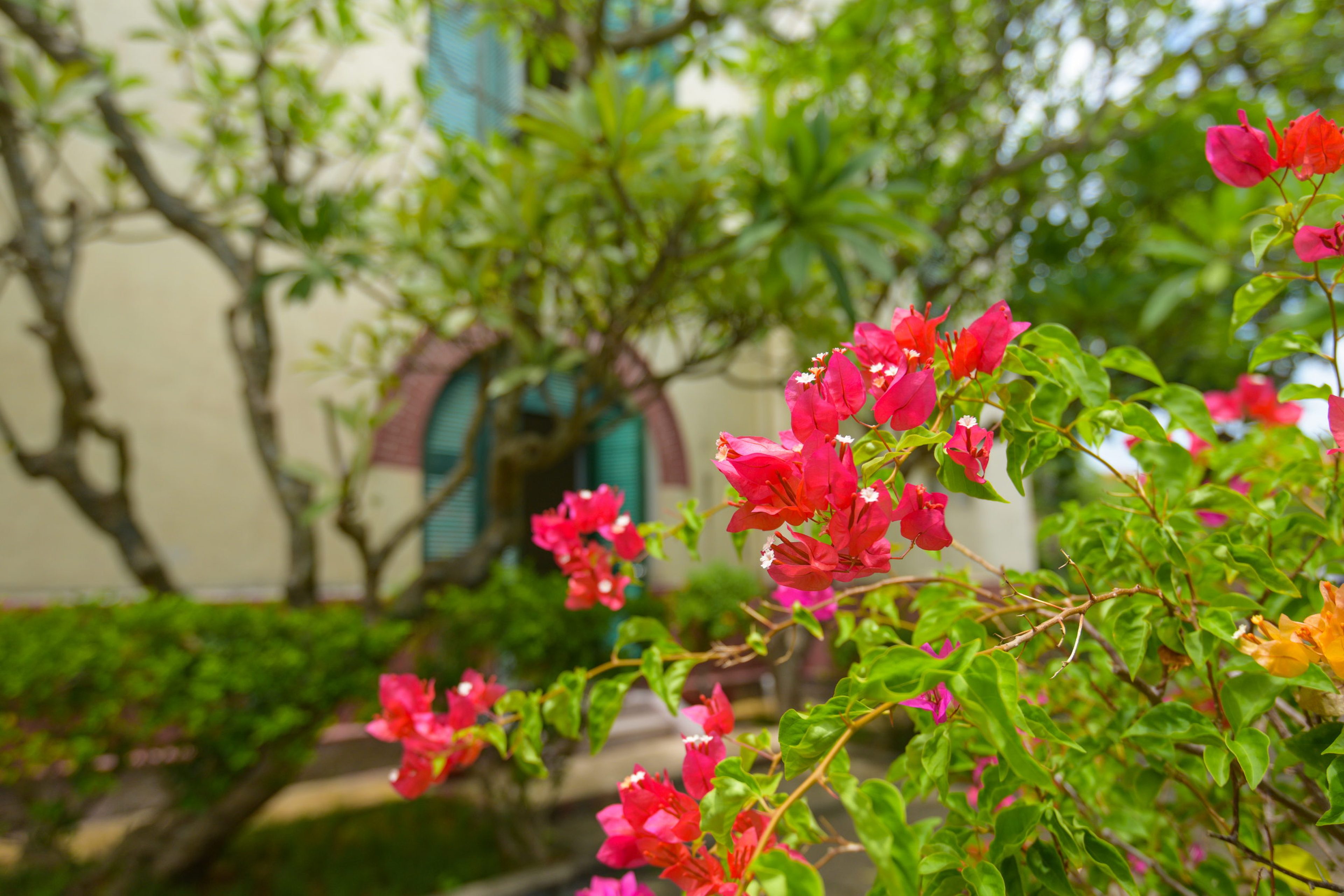 Biệt thự Cầu Đá - Hình 10