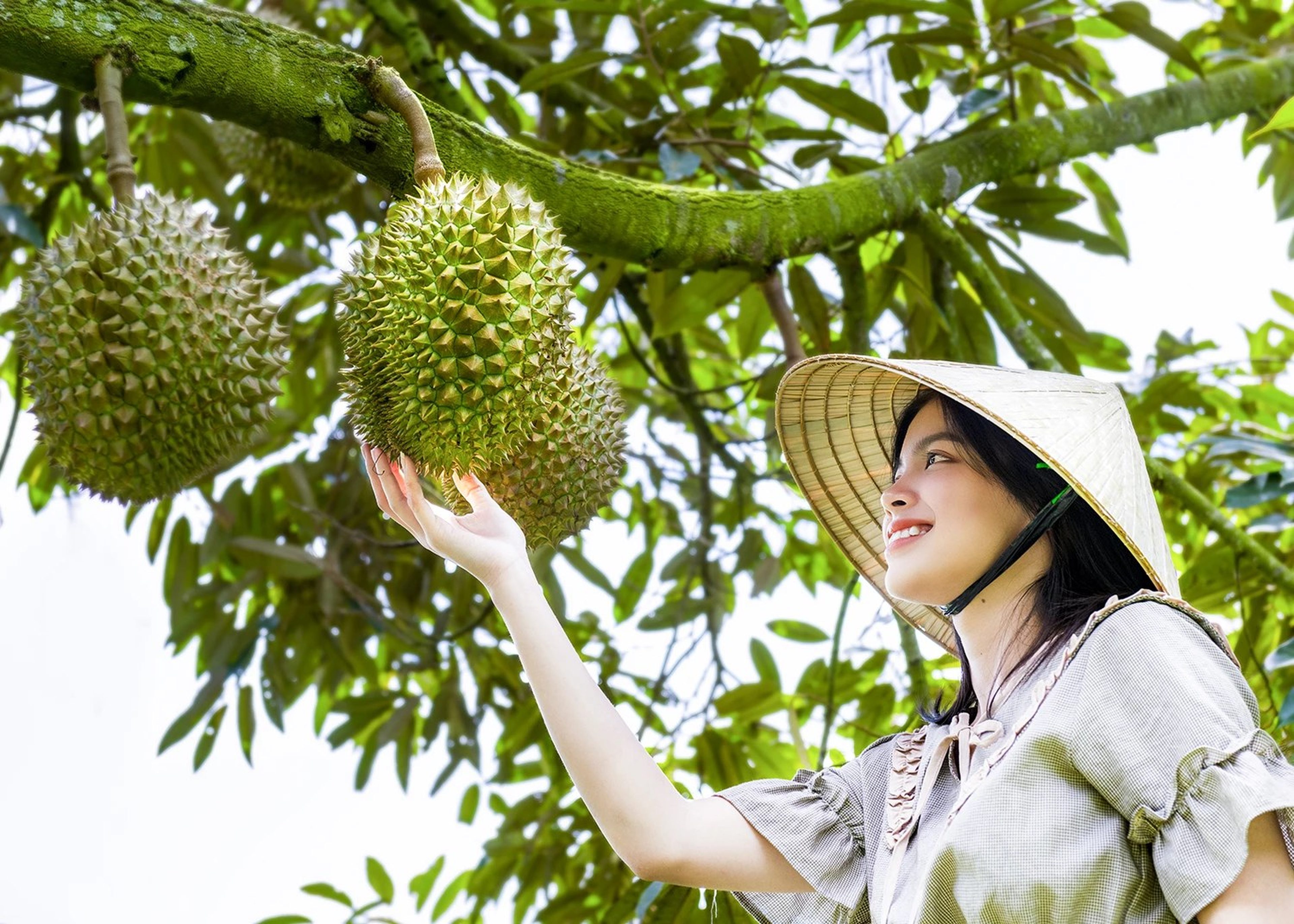 Độc đáo làng du lịch cộng đồng ở Khánh Sơn - Hình 2