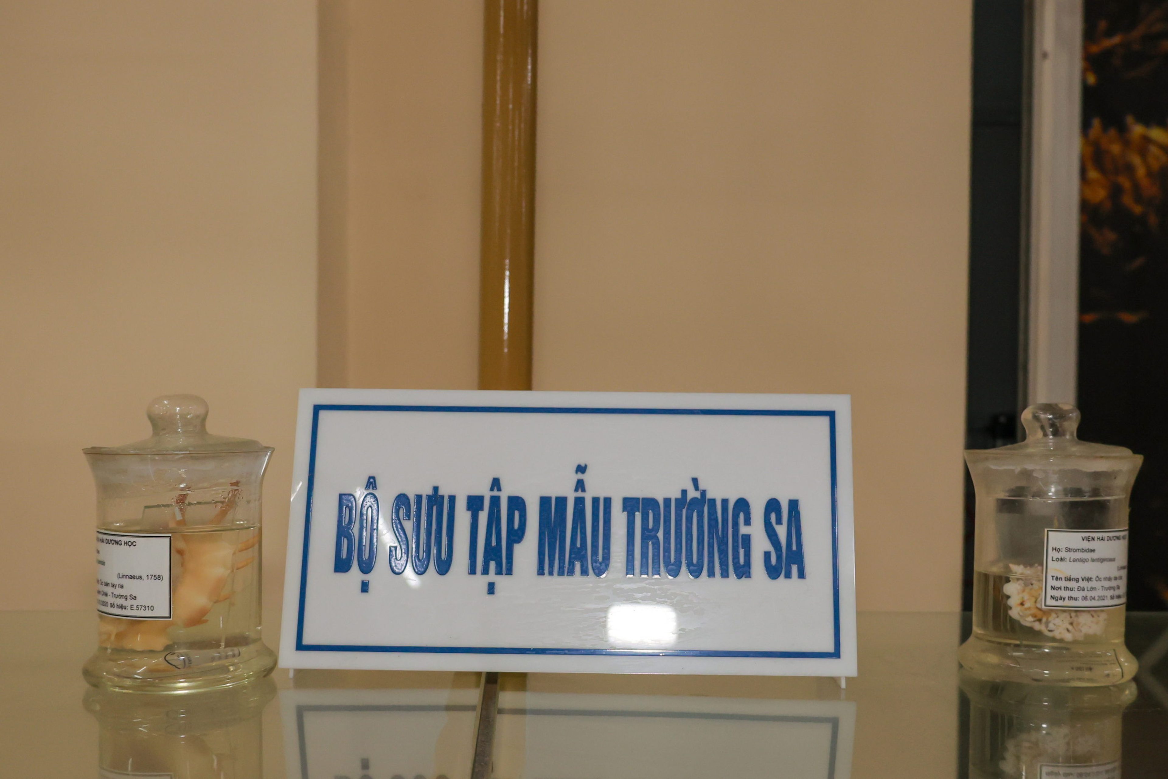 Viện Hải Dương học - Hình 10