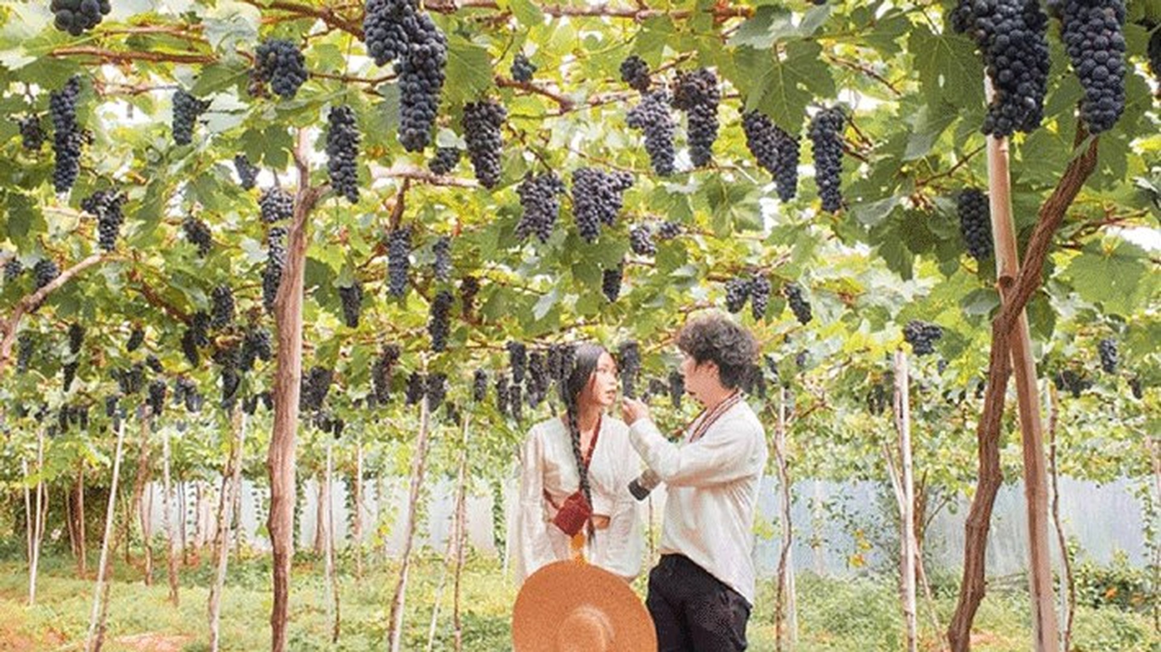 Tour Nha Trang 2N2Đ: Hành trình khám phá biển đảo xinh đẹp - Hình 12