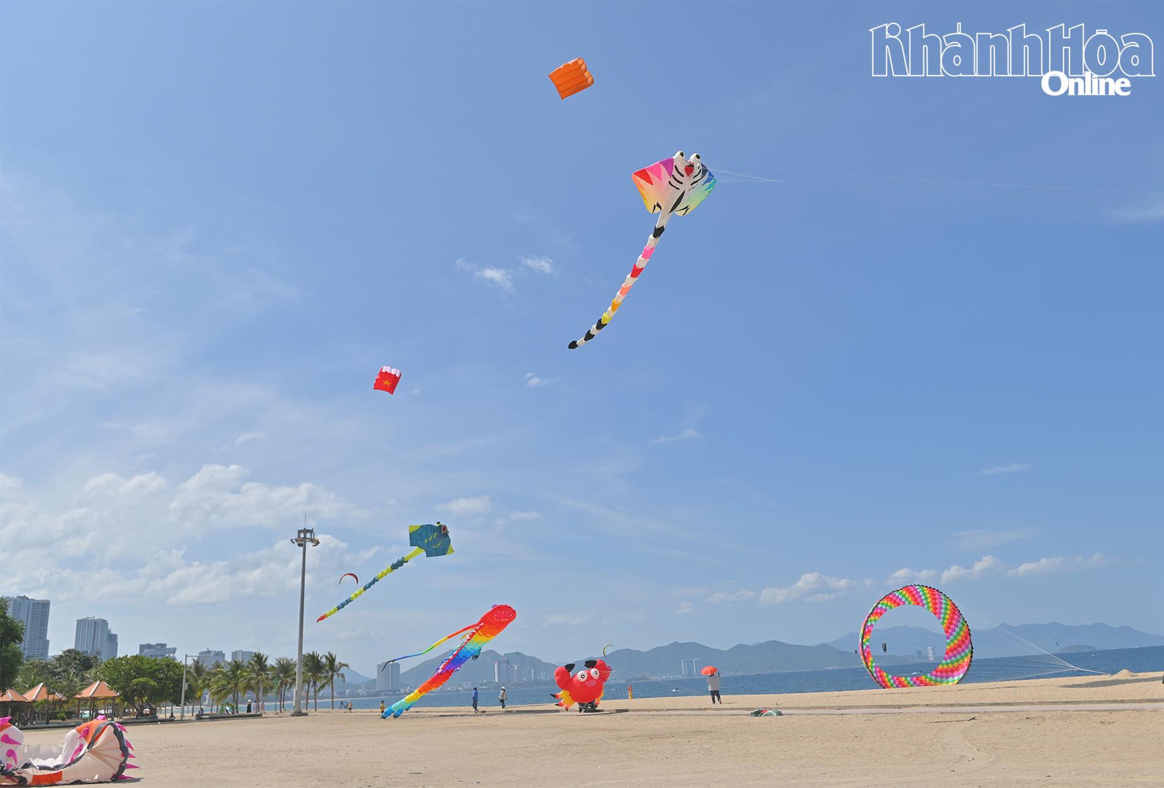 Vibrant Colors Take Over the Giant Kite Festival - Hình 1