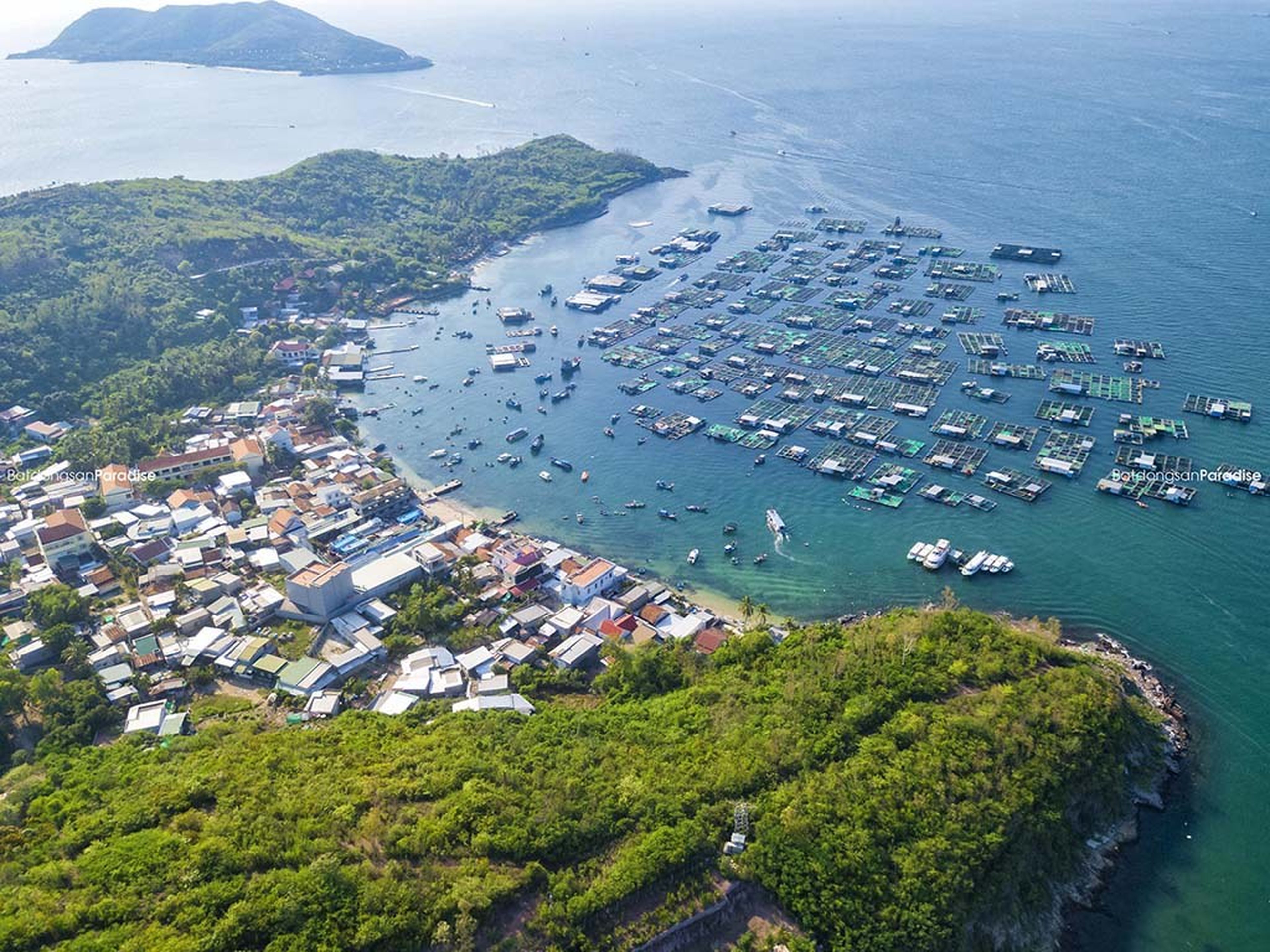 Tour Nha Trang 2N2Đ: Hành trình khám phá biển đảo xinh đẹp - Hình 4