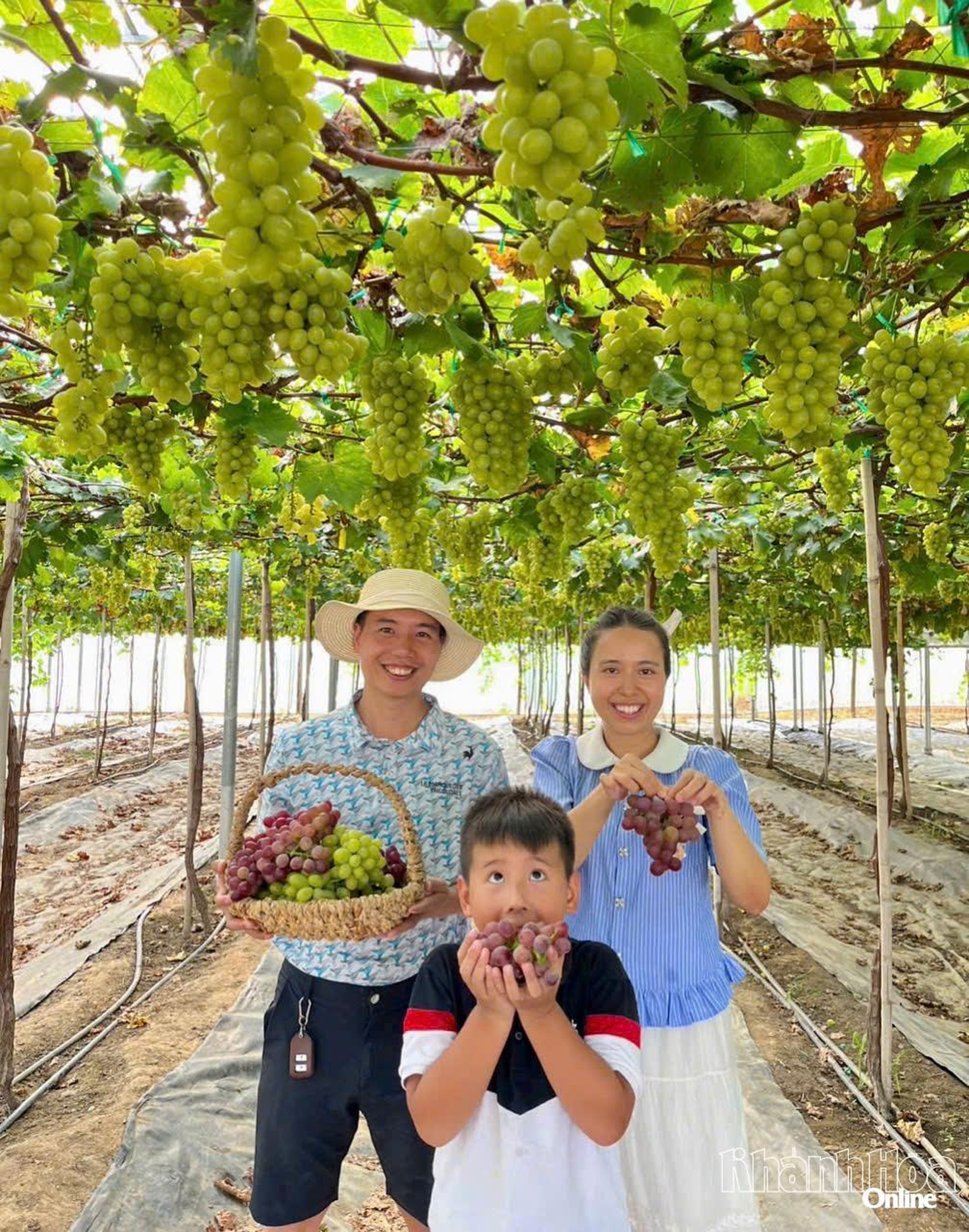 Văn hóa biển - sức hấp dẫn của du lịch Khánh Hòa - Kỳ 1: Một dải biển, nhiều tầng văn hóa - Hình 6